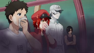 Assistir Hataraku Saibou 2 (Cells at Work!) - Todos os Episódios