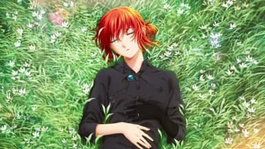 Otakus Brasil 🍥 on X: A 2ª temporada de Mahoutsukai no Yome (The Ancient  Magus' Bride) estreia amanhã!  / X